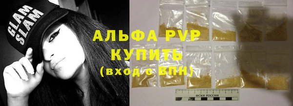стаф Бородино