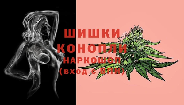 ПСИЛОЦИБИНОВЫЕ ГРИБЫ Бронницы