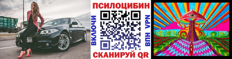 Галлюциногенные грибы Cubensis  купить наркотики сайты  Обь 