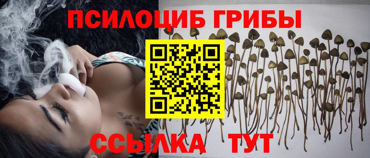 Галлюциногенные грибы MAGIC MUSHROOMS  Псилоцибиновые грибы Psilocybe  где купить   Вход с VPN  Обь 